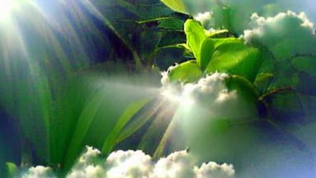 climate-focused-blockchain-projects