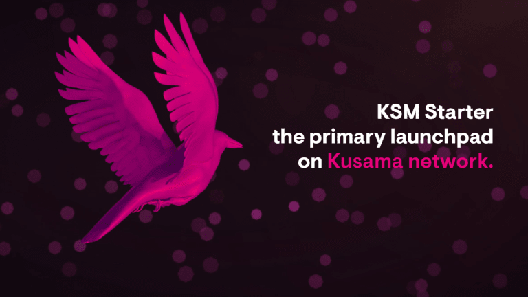 KSM Starter - a launchpad that doubles as an incubator