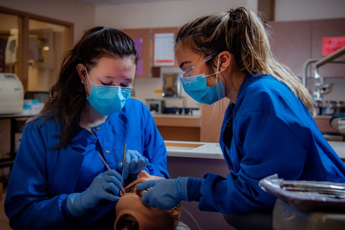 virtual reality in medical training