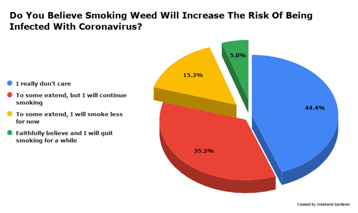 Do You Believe Smoking Weed Will Increase The Risk Of Being Infected With Coronavirus?